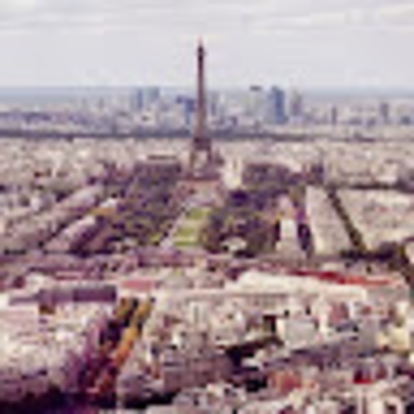 Meet your Posher, Dinah - Picture 1 of 1